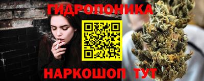 СК Мирный