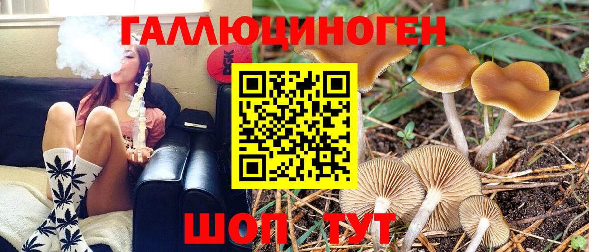 Псилоцибиновые грибы Psilocybe  Псилоцибиновые грибы Magic Shrooms  Лесосибирск  Вход с VPN 